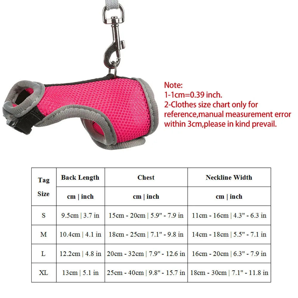 PawLuxe Rabbit Harness & Leash Set