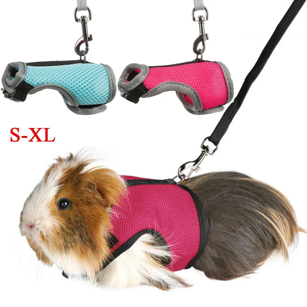 PawLuxe Rabbit Harness & Leash Set
