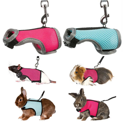PawLuxe Rabbit Harness & Leash Set