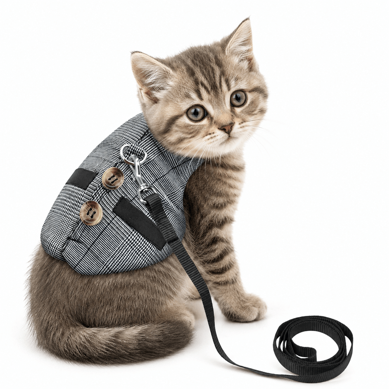 PawLuxe BunnyFit Rabbit Harness & Leash Set
