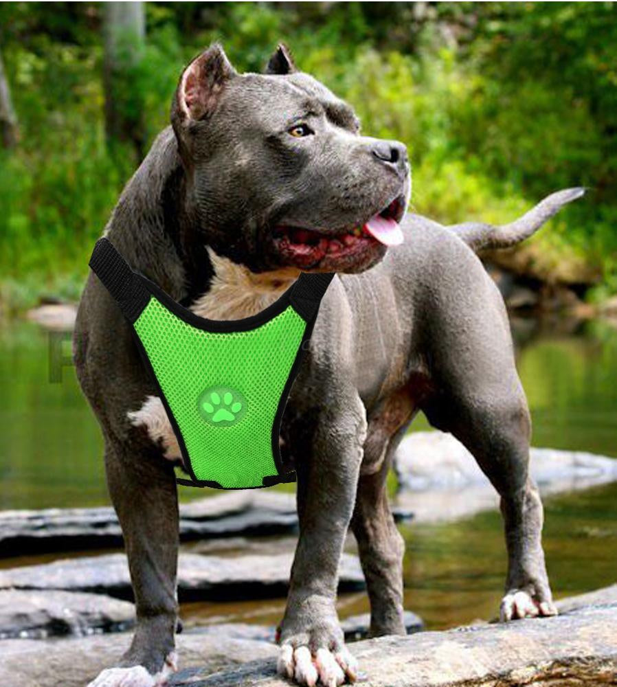 PawLuxe Breathable Mesh Dog Harness – Adjustable No-Pull Pet Vest