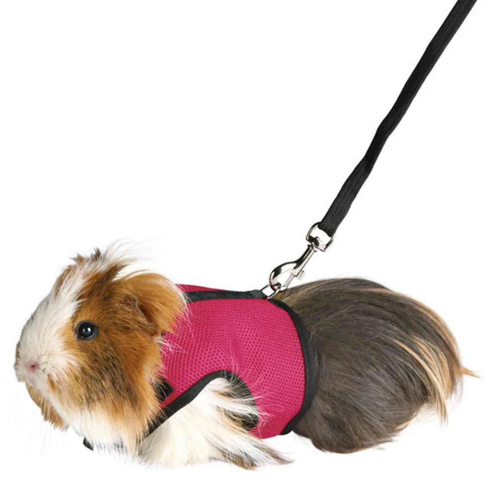 PawLuxe Rabbit Harness & Leash Set