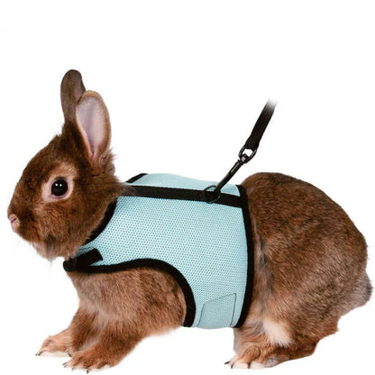 PawLuxe Rabbit Harness & Leash Set