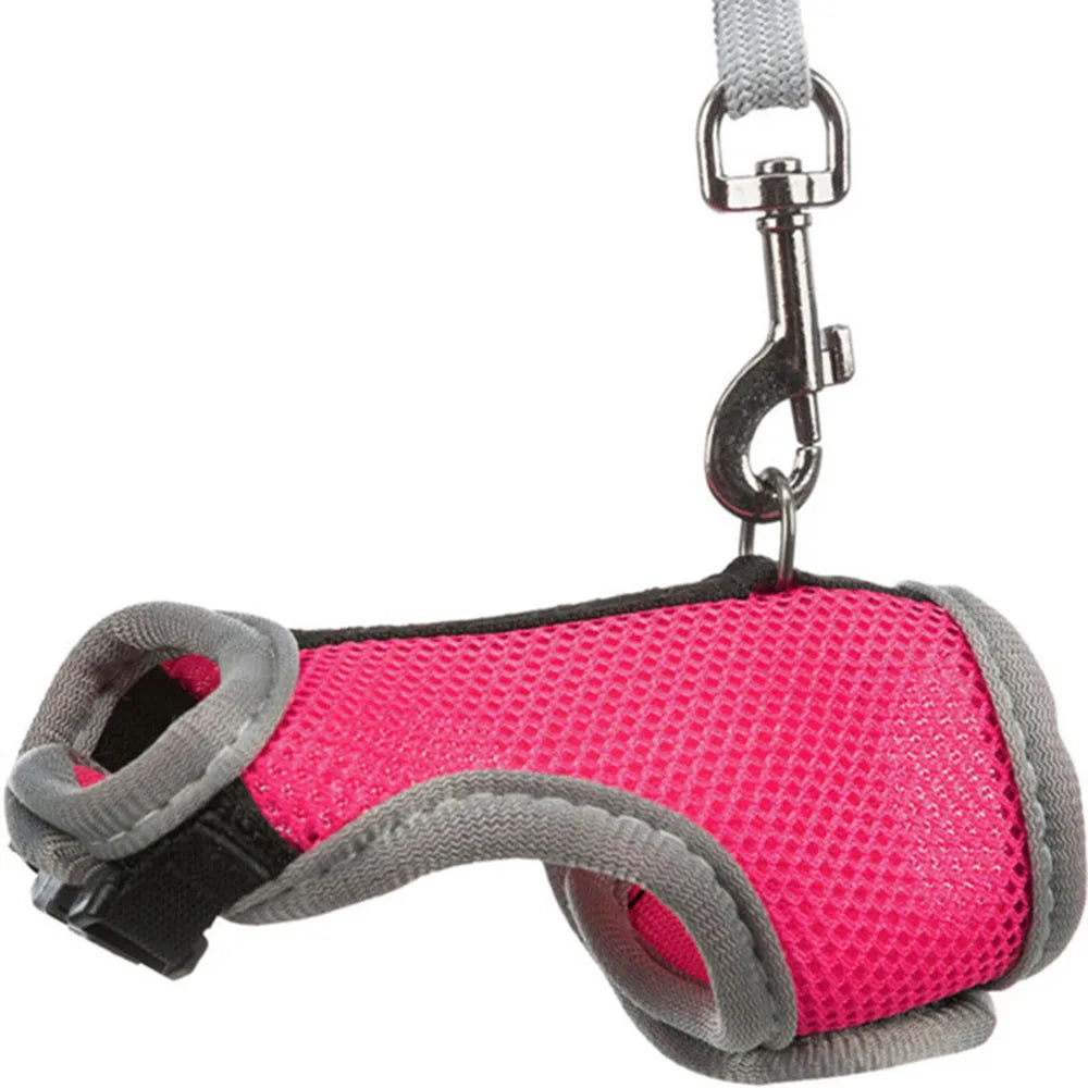 PawLuxe Rabbit Harness & Leash Set