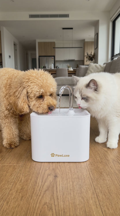 PawLuxe AquaFlow™ – Fuente de agua inteligente para mascotas