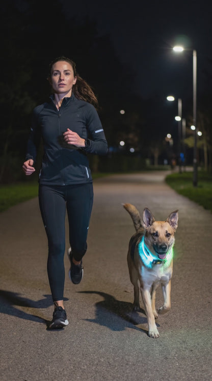 PawLuxe™ Collar LED GlowSafe